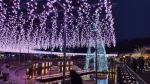 【日帰りバスツアー】あしかがフラワーパーク 他 に参加してきました。